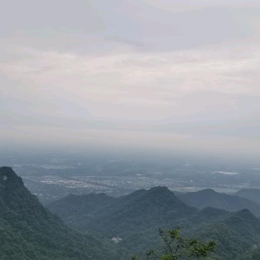青青妹儿