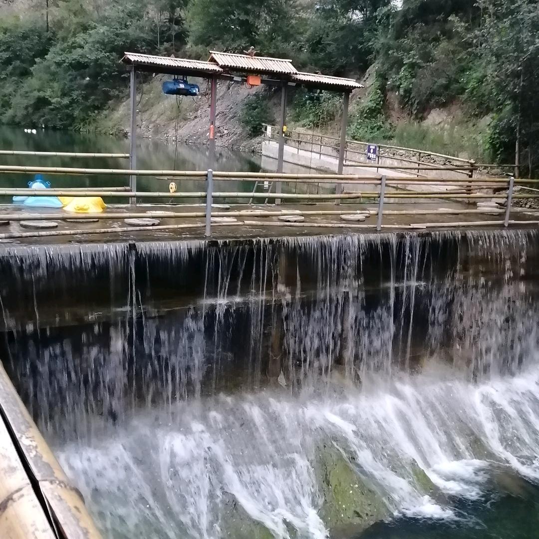 悠悠人生