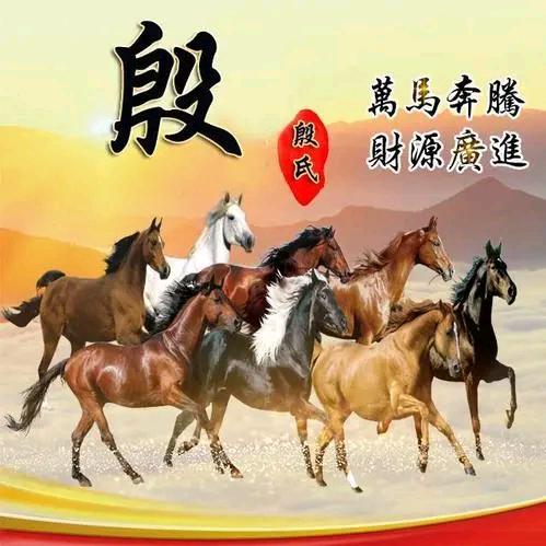 孤独与烈酒我选风与自由