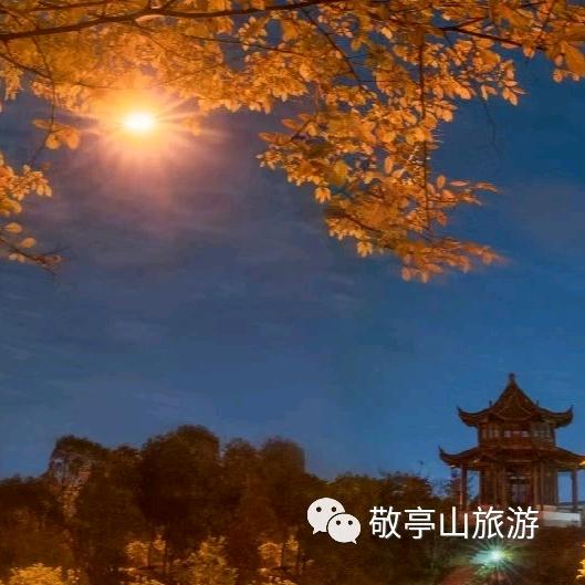 添裹掩欬未华颠
