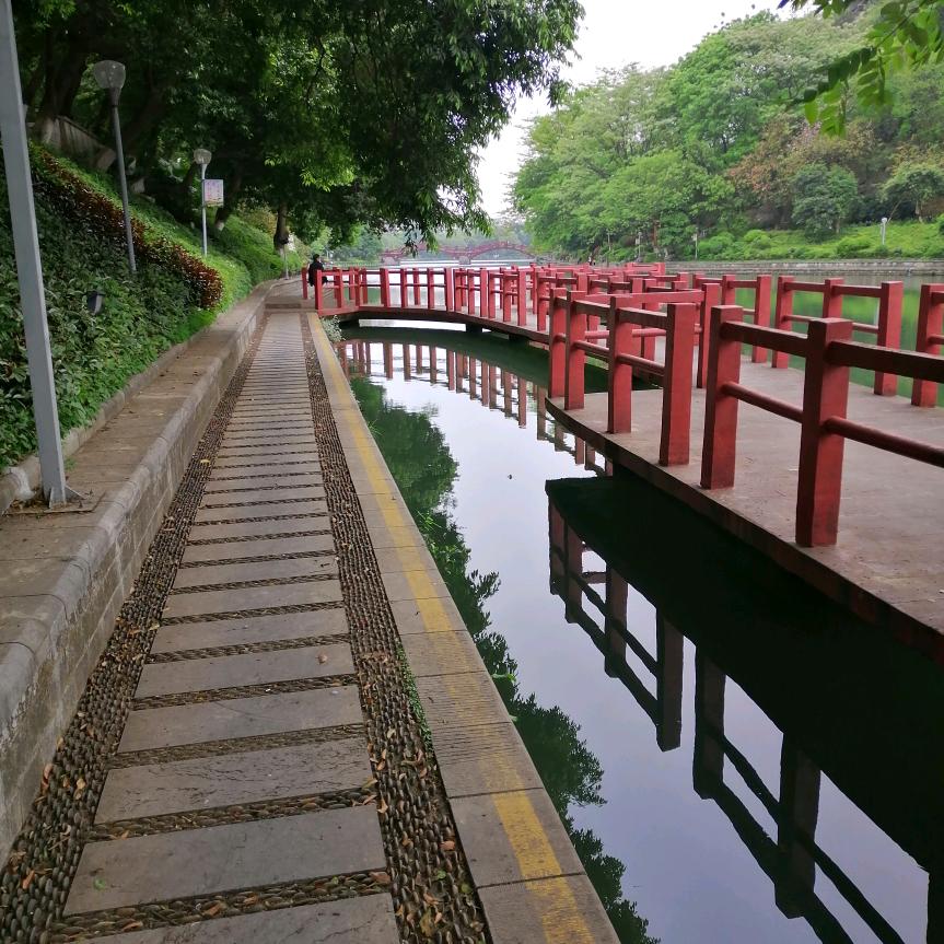 韦韦同学