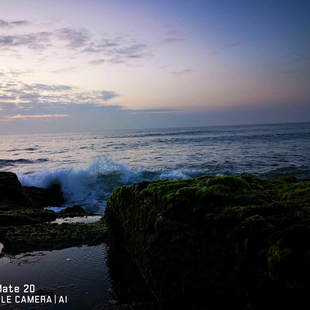 惠州…啊茂船长 包船 拼船