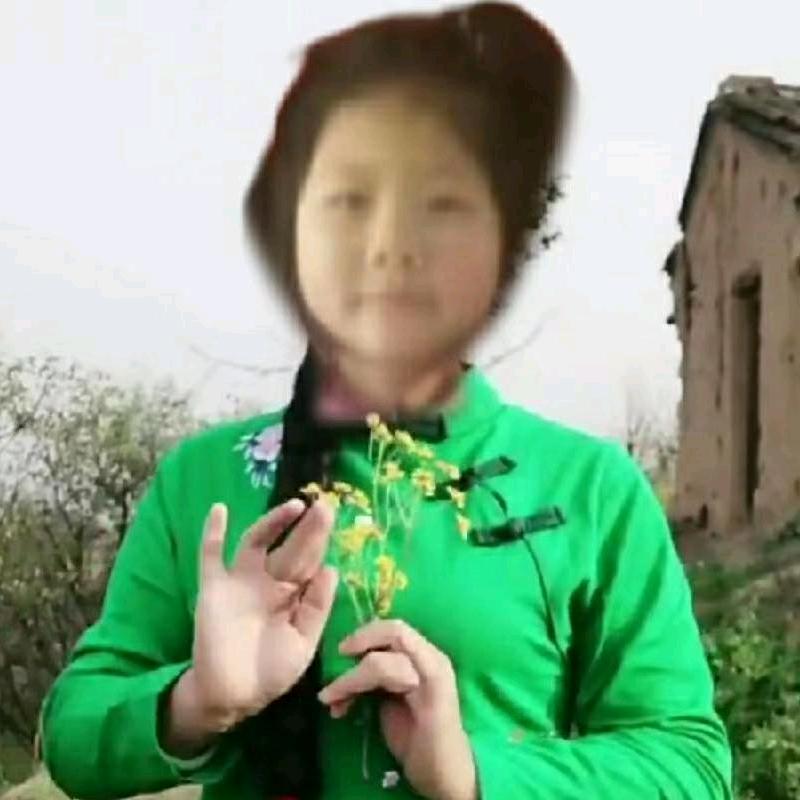 刘二姐中介招工