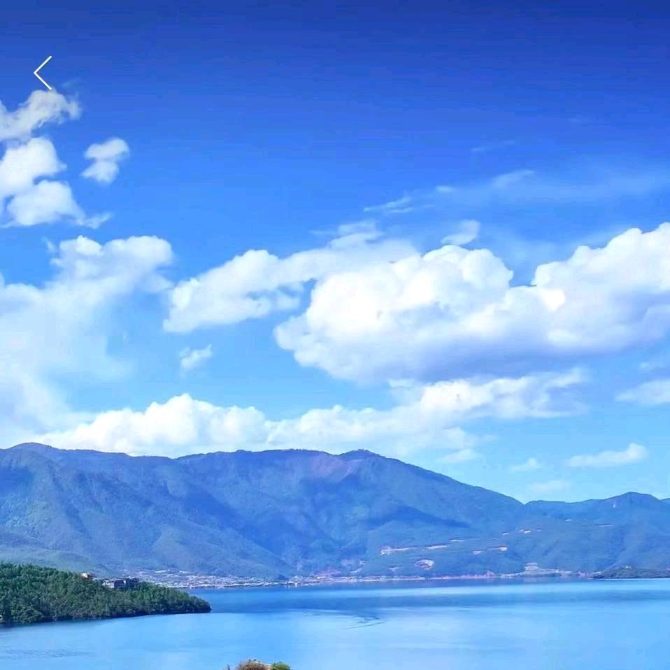 世界華