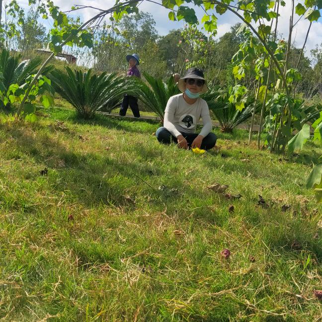 桂小洪🌹🌹🌹🐔