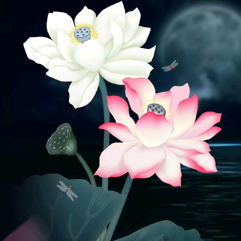 雨过天晴