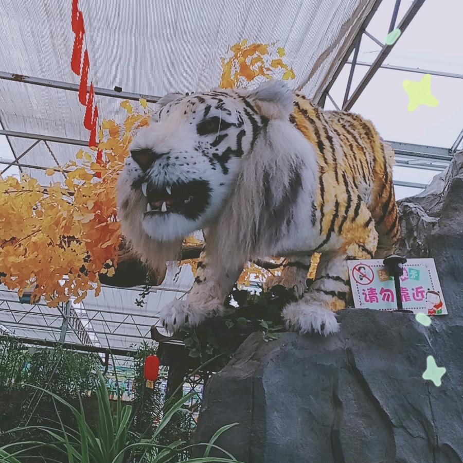 龙之吻