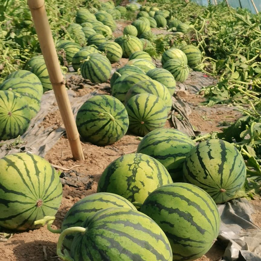 এ᭄🥀敏敏*এ🌺ོꦿ࿐