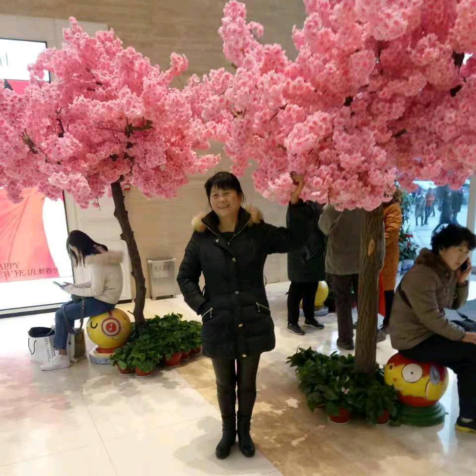 风的季节