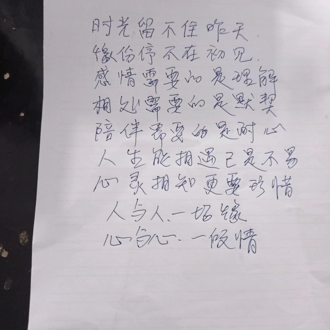 风中雨荷