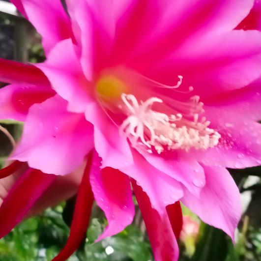 天天辛褔
