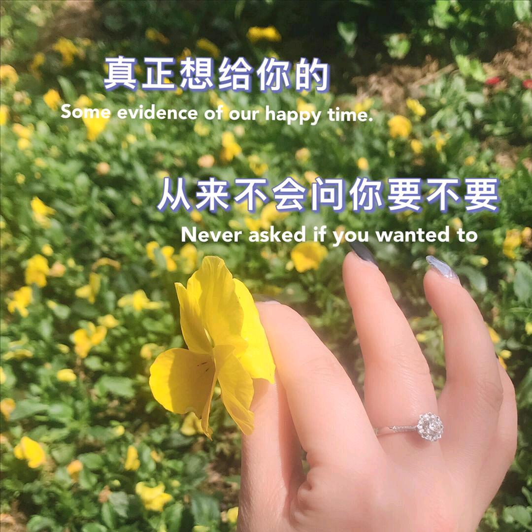 不要用我的爱来伤害我