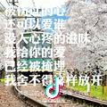甄葛飞