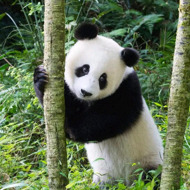 余生爱财爱己（发家军）