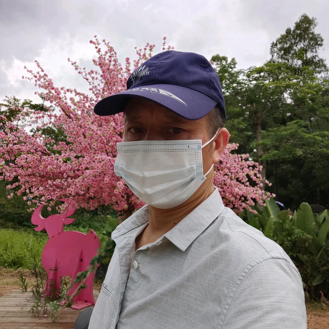 霞光四射