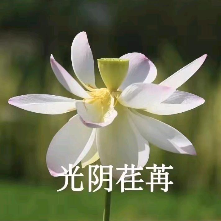 青春.