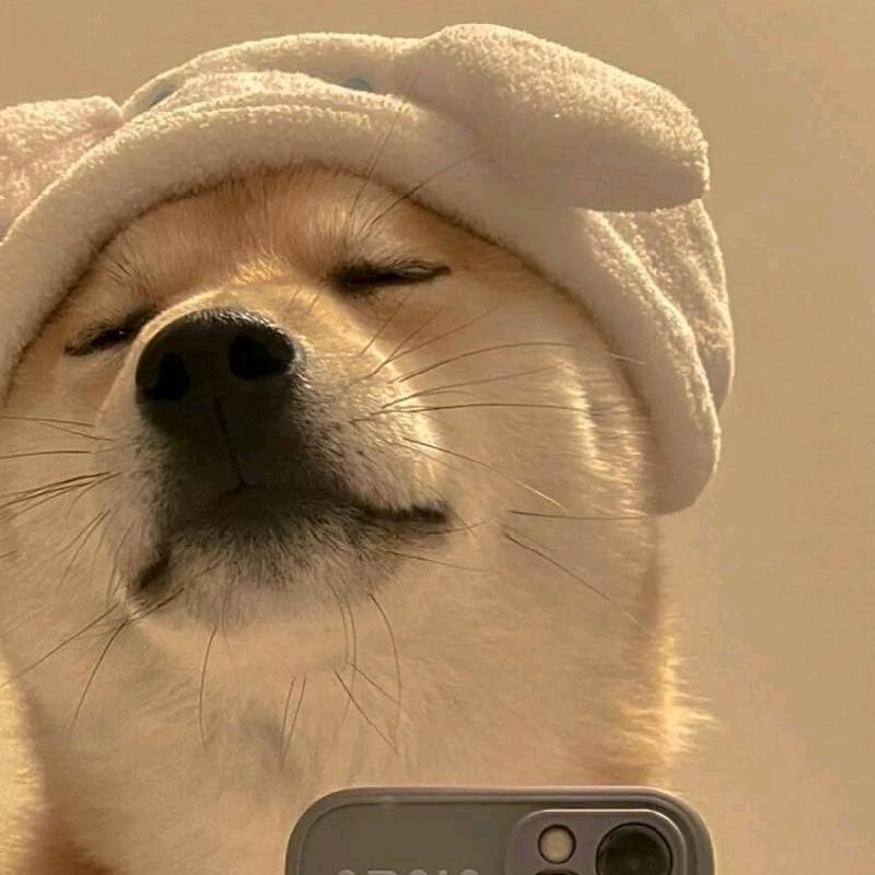 王不留情