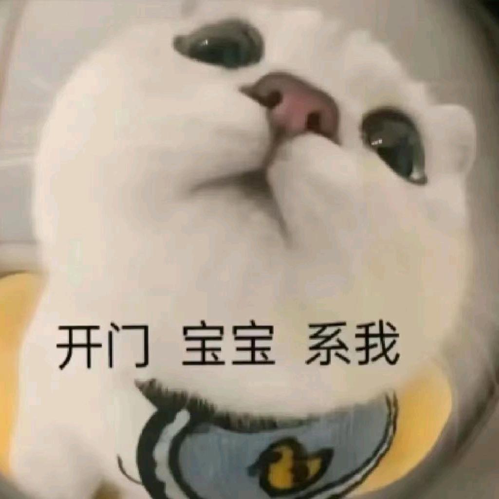 大荔子晗