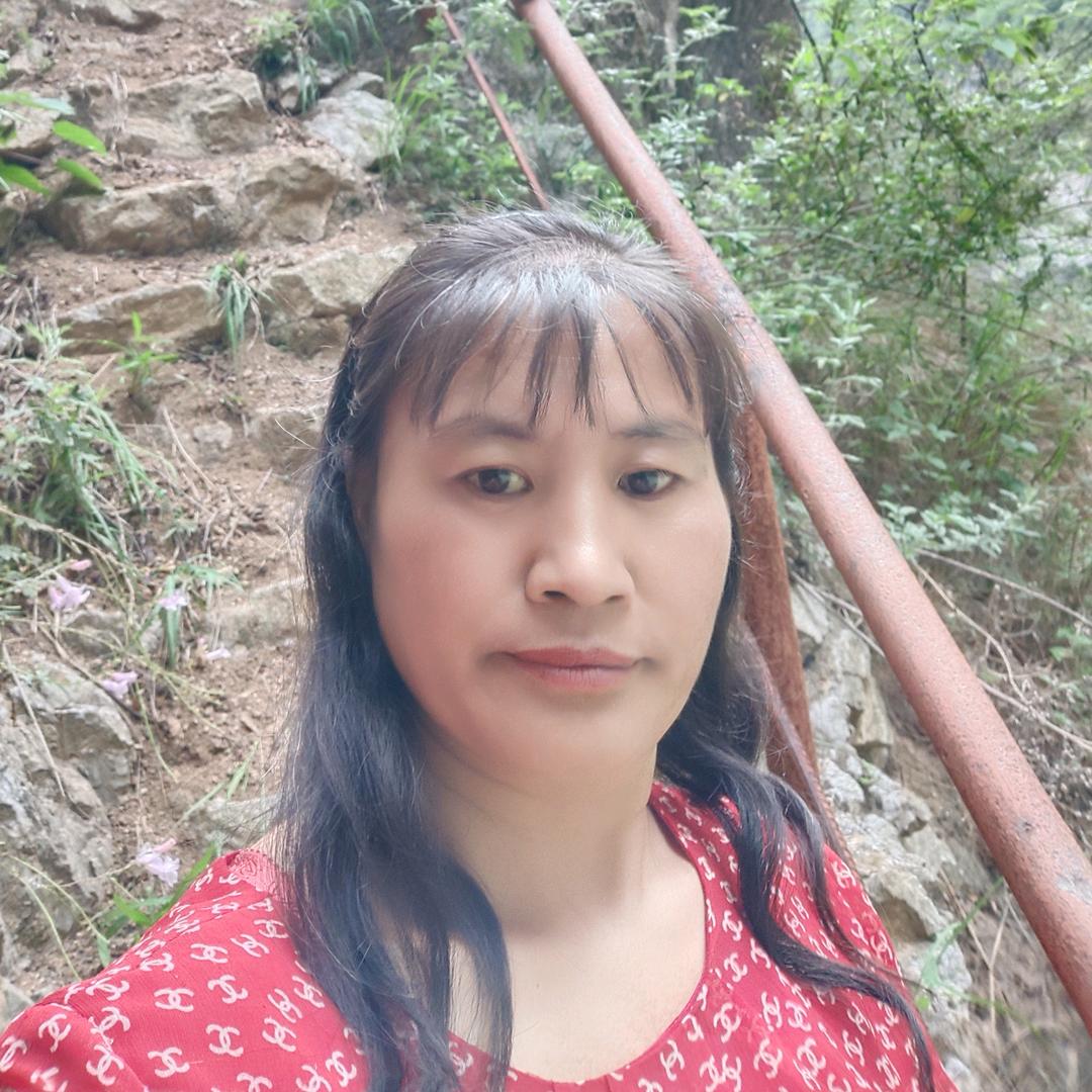 金鱼