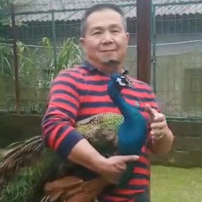 兴隆孔雀山庄