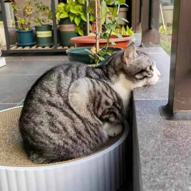 威尼斯摆渡人