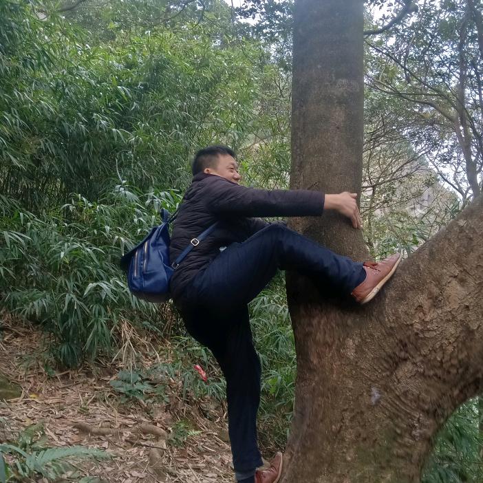茂林