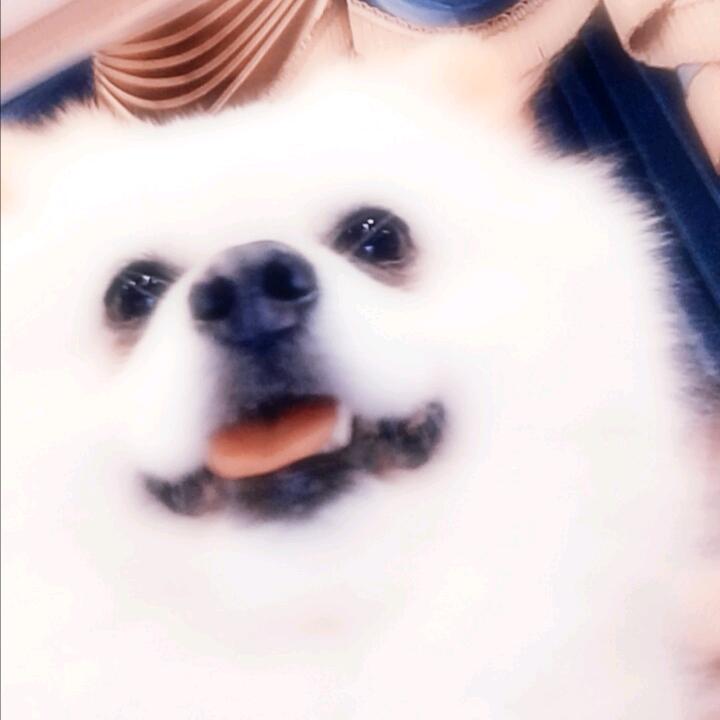 🍓CCG_丑丑🍑