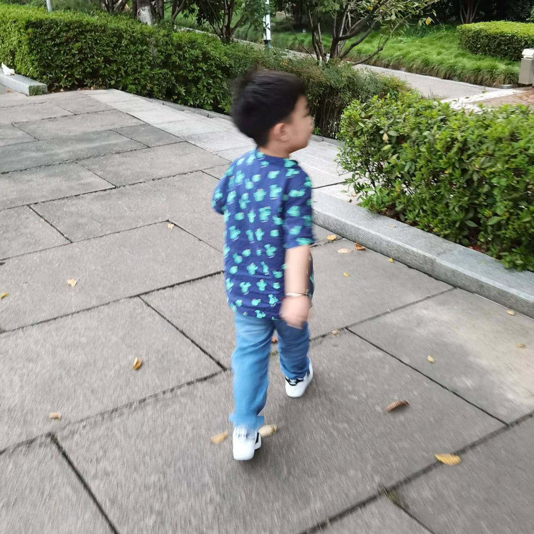 任豆豆是个小可爱