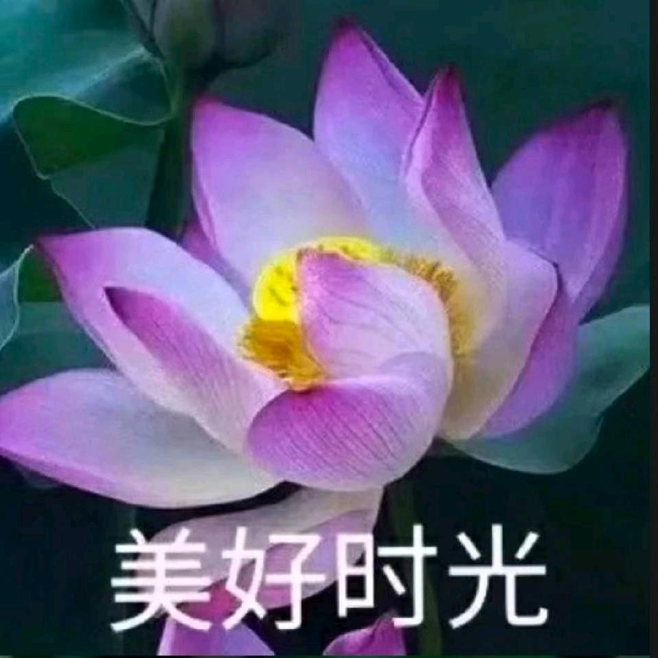 人生过客与感悟