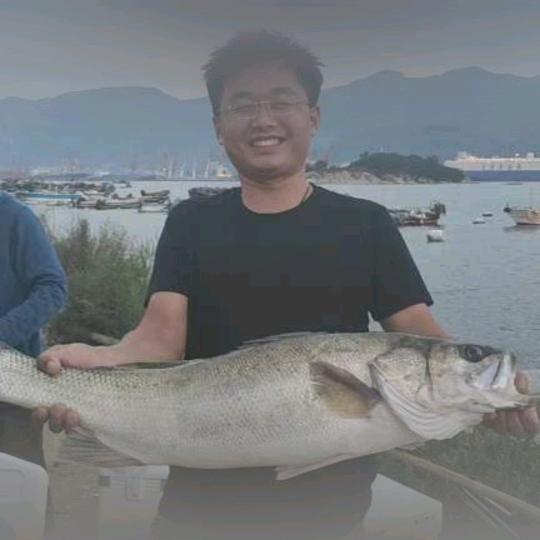 镜头人生