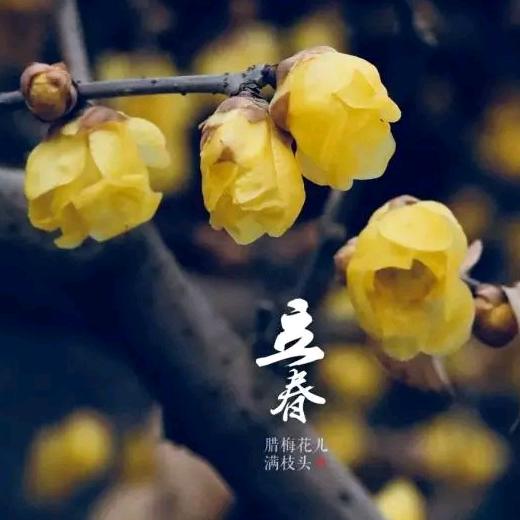 难得糊涂