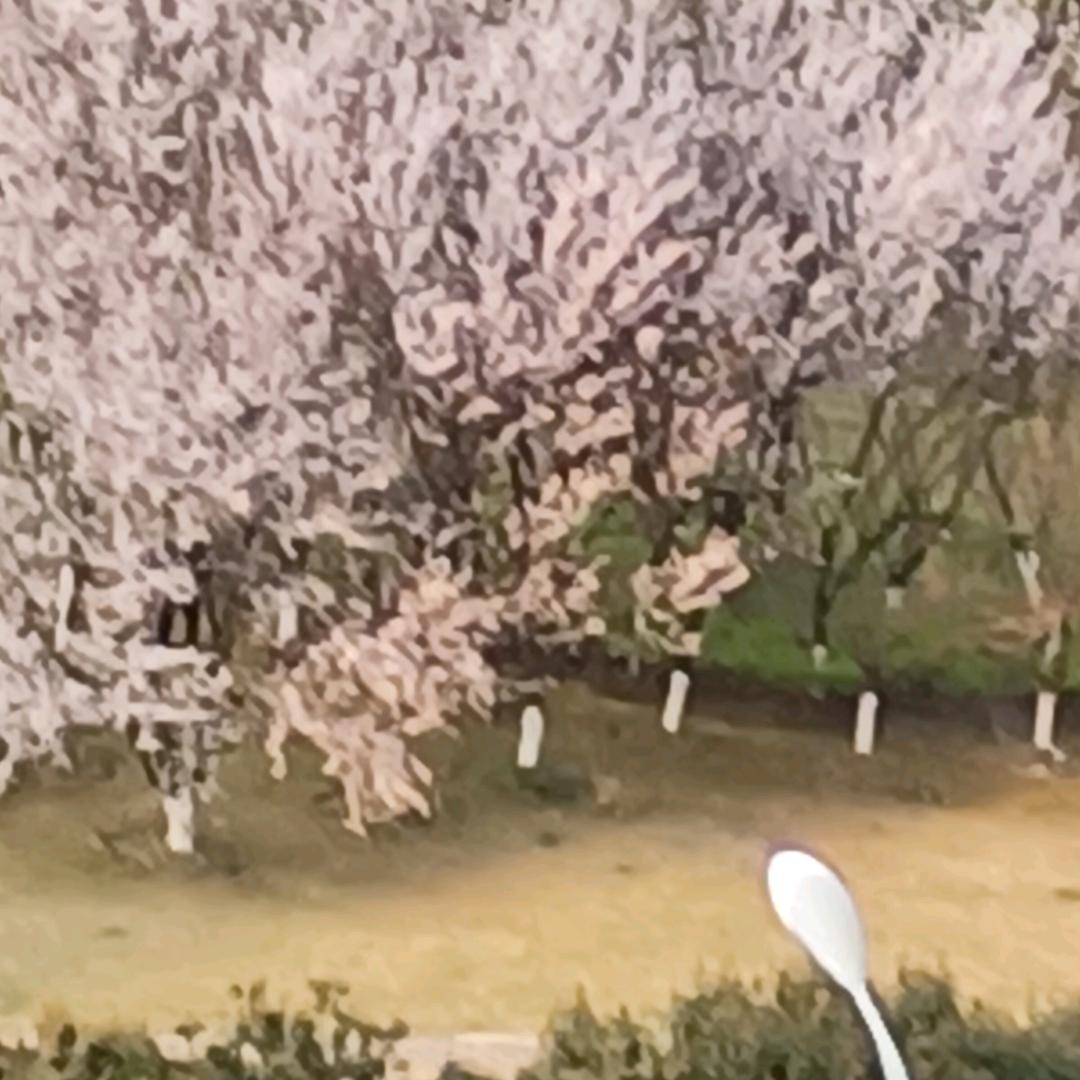 曾哥