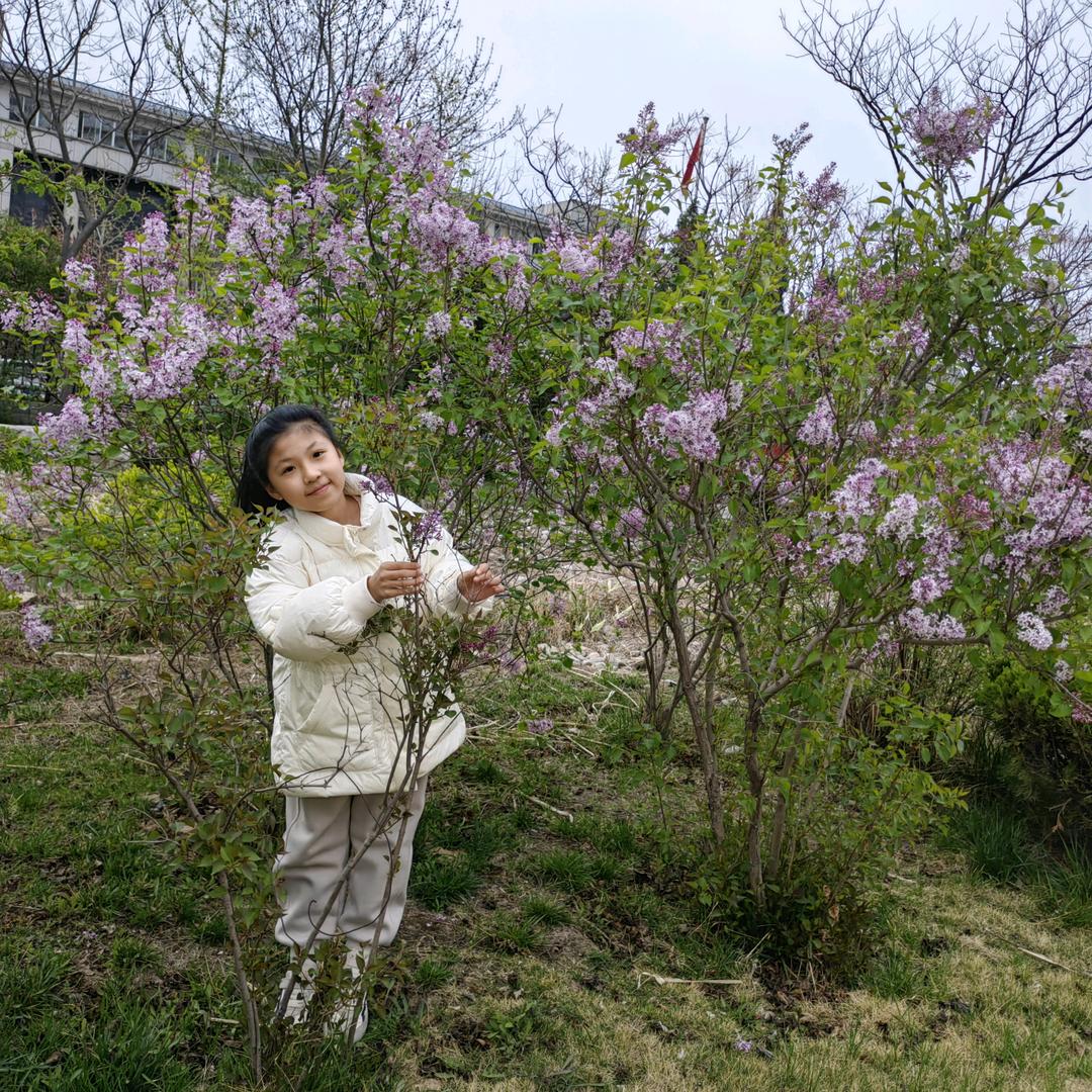 鲁誉十里香丽姐