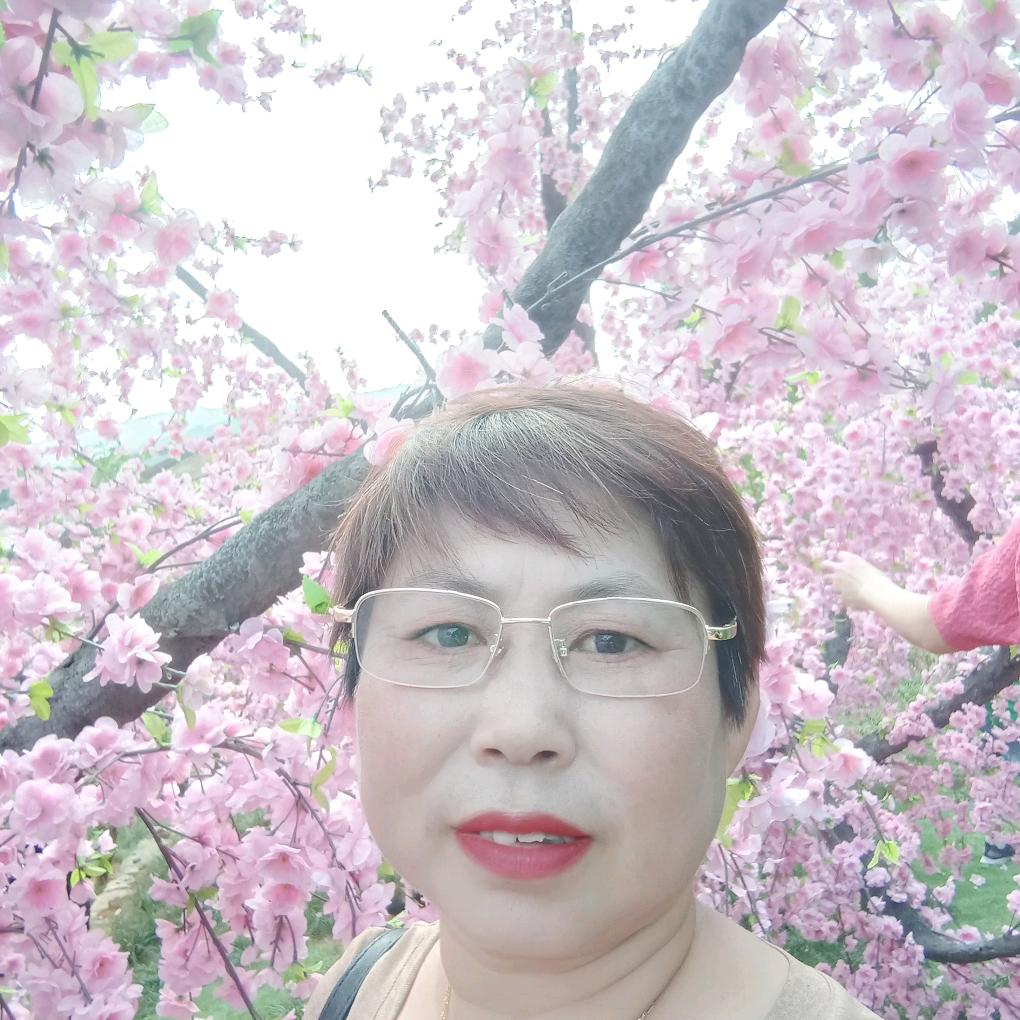 柯柯