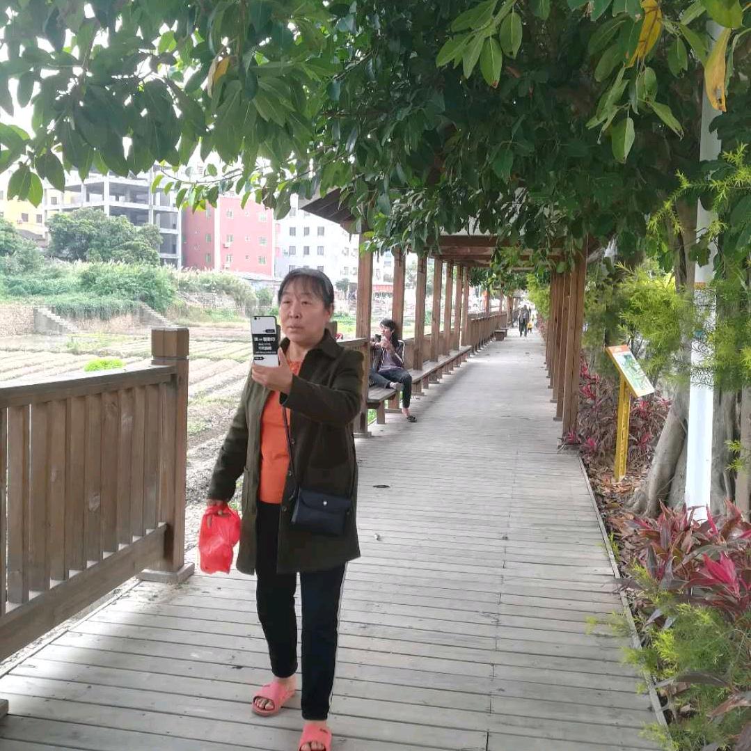 来去不自由