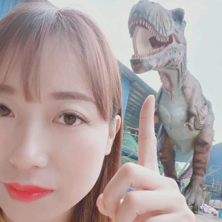 自贡祥龙仿真恐龙彩灯制作厂家