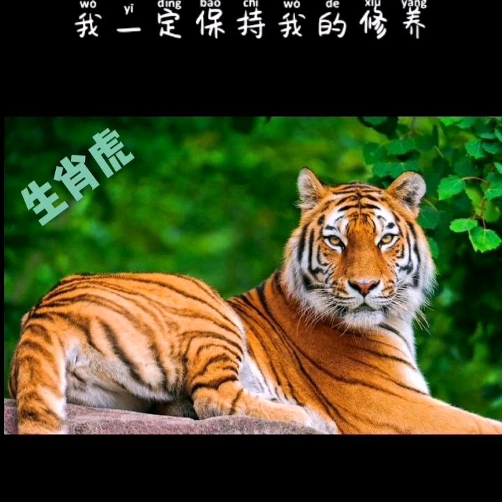 千锤百炼