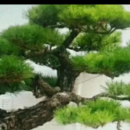 满天星光