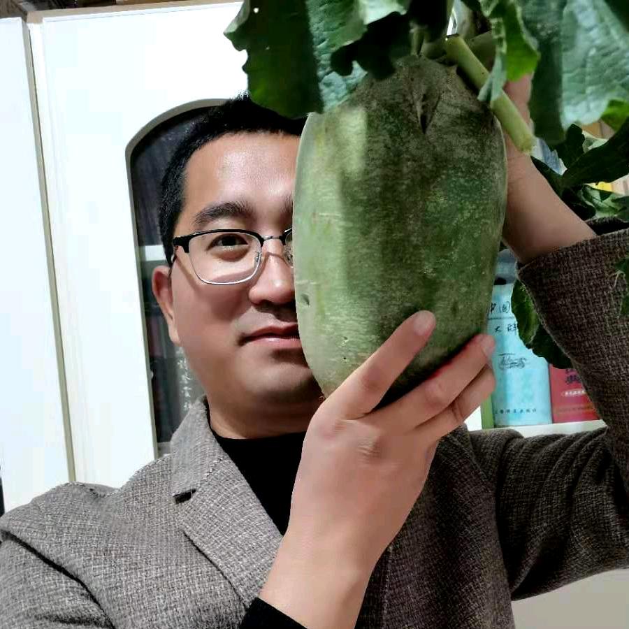 锋言风语