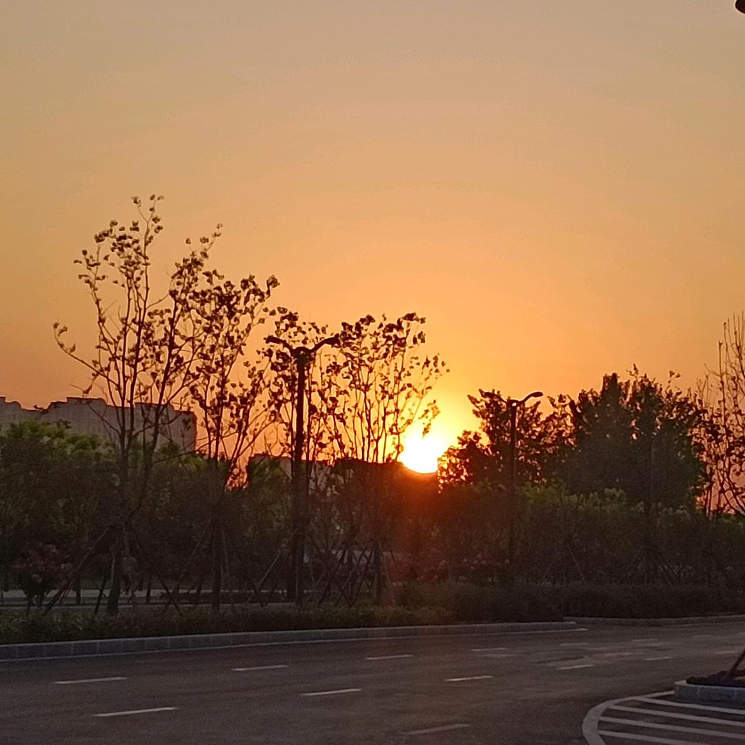 小花