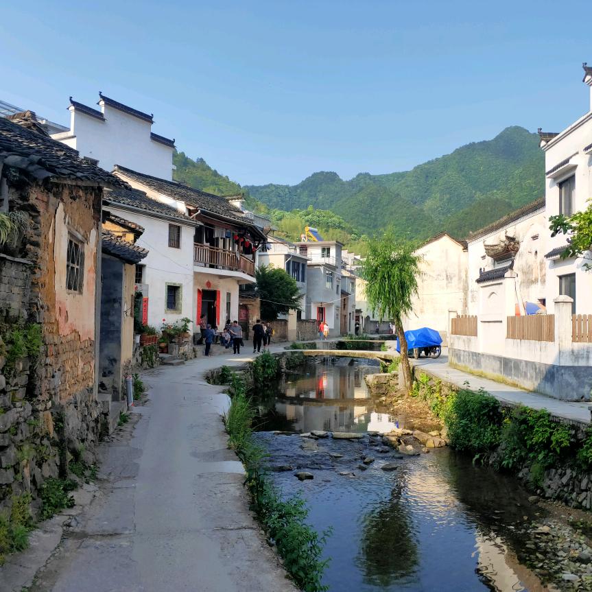🌸樱花雨络♥ ✿