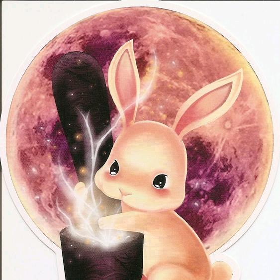 🌙 月 兔 🐰