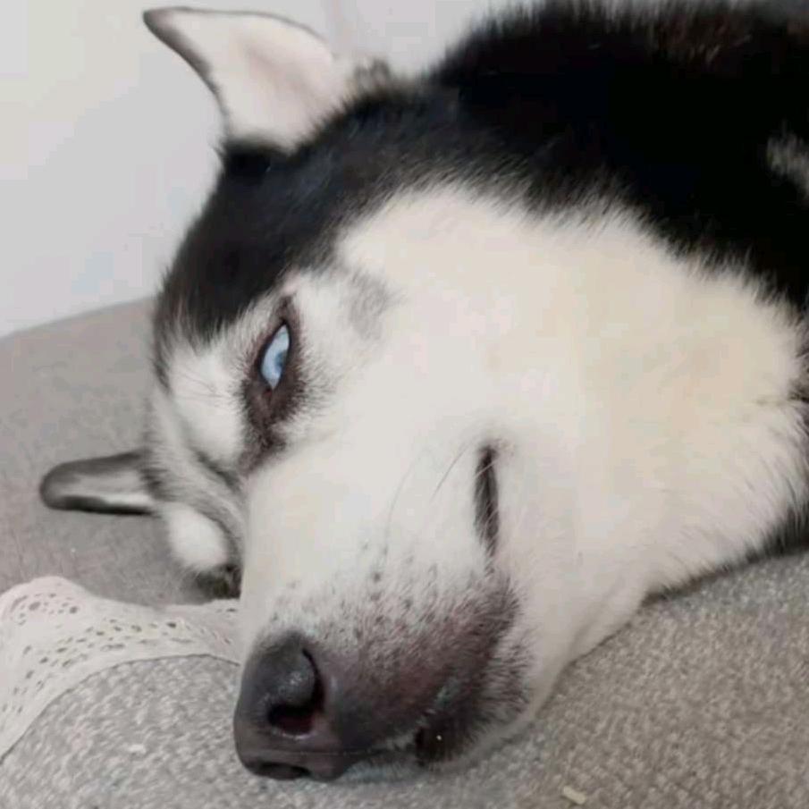 大多时候我都机智得一逼