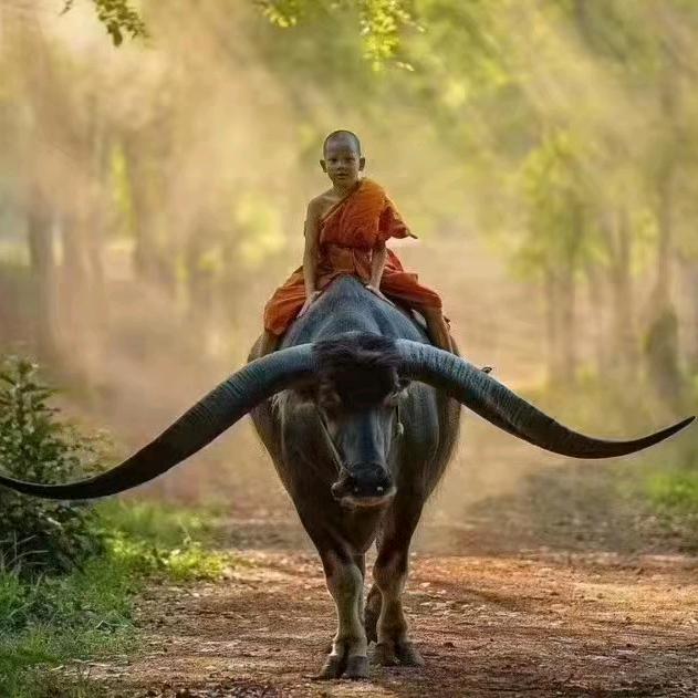 青浦区租房卖房刘经理（四川人）