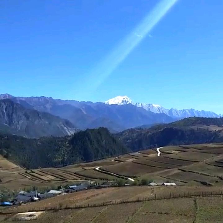 就说是不是