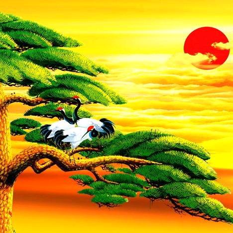 向着太阳迎着光☀️