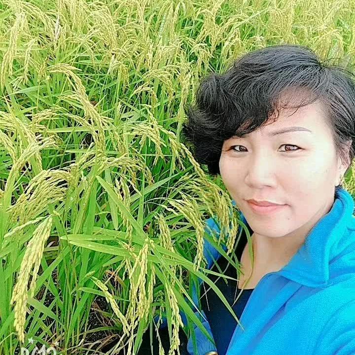 芸萱（结善缘）
