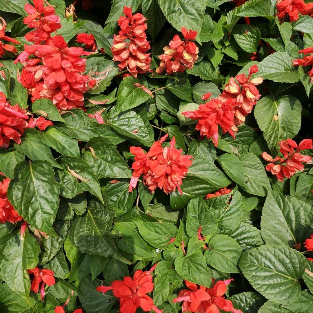 收购铝合金.不锈钢废料