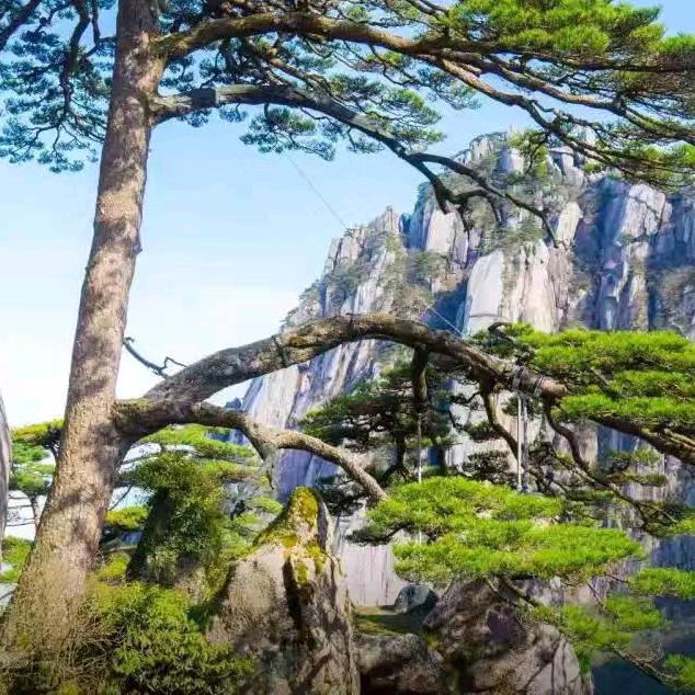 珍惜一生