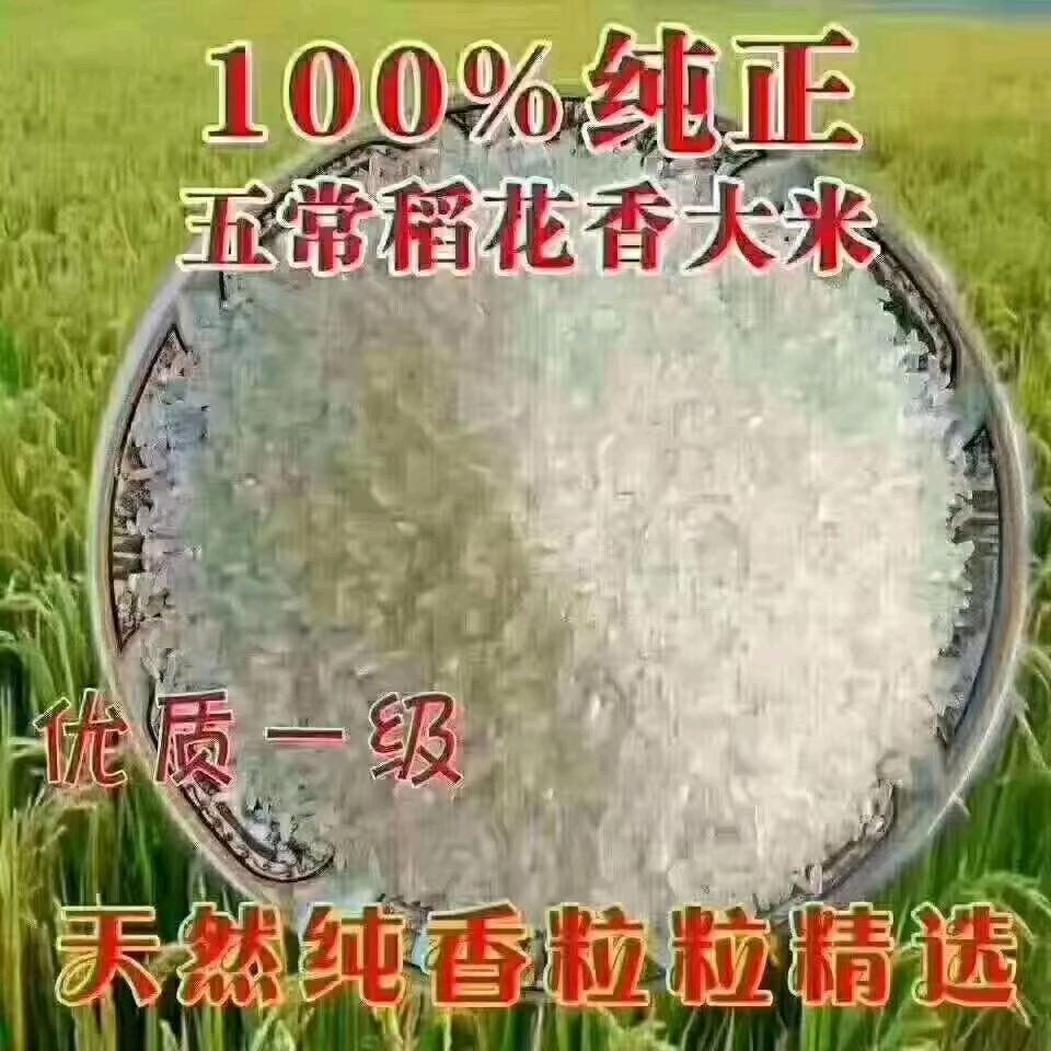 五常香米